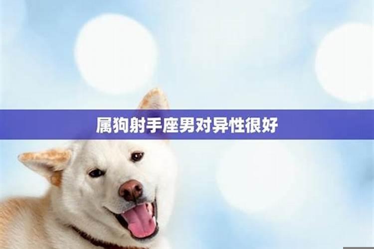 属狗的女人什么性格特点