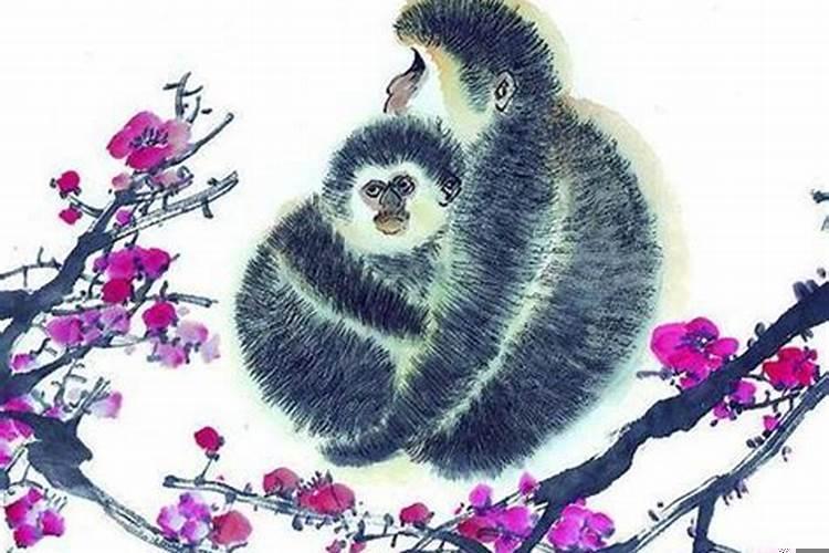 生肖猴的喜欢什么人
