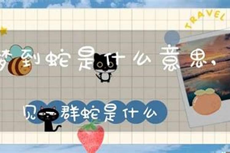 睡觉梦到蛇是什么预兆