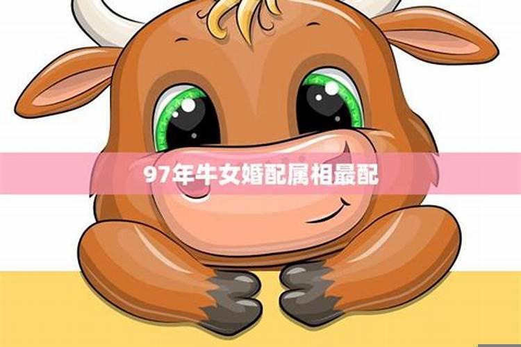 属牛女的最佳配偶是什么生肖?