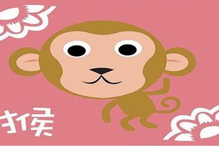 生肖猴的喜欢什么人