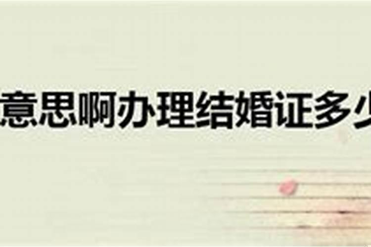 断婚是什么意思啊