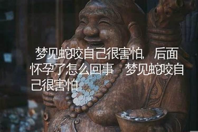 怀孕两个月梦见蛇怎么回事