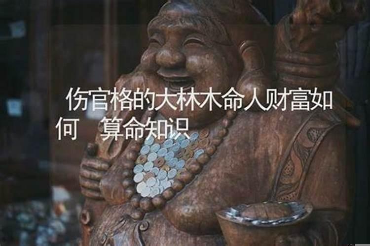 大林木伤官女命