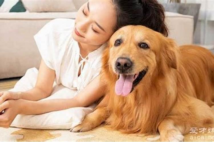 梦见一条大狗在我身边我很害怕