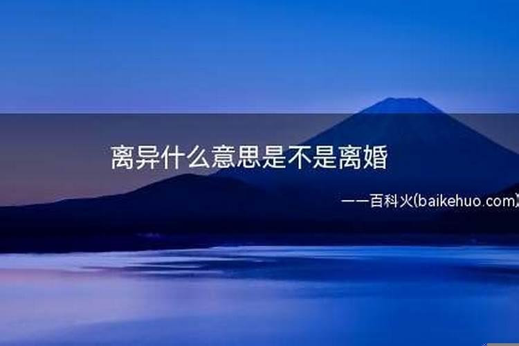 离异是指离婚吗