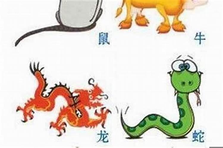 比马大七岁是什么属相