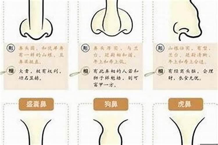 鼻子看面相算命运