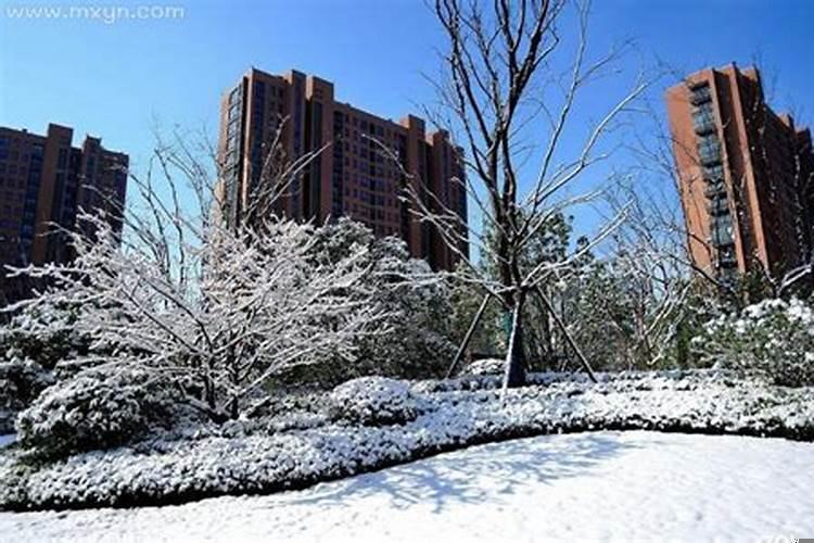 梦见下雪什么意义周公解梦