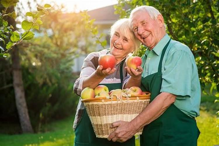 一生幸福度晚年是什么生肖