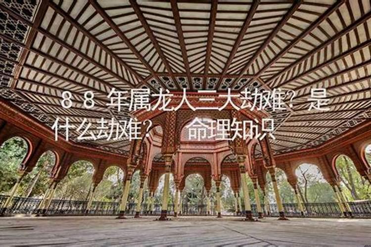 1988年属龙33岁是不是有劫