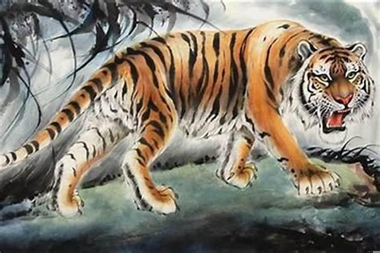 86年虎的性格女