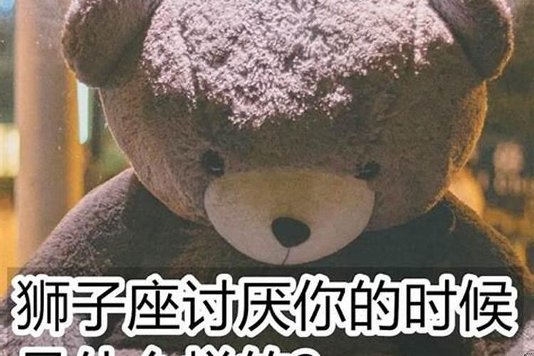 关于狮子座的事情