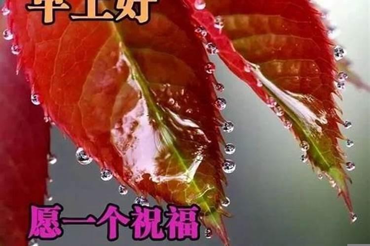 1976年正月二十七属龙的命运