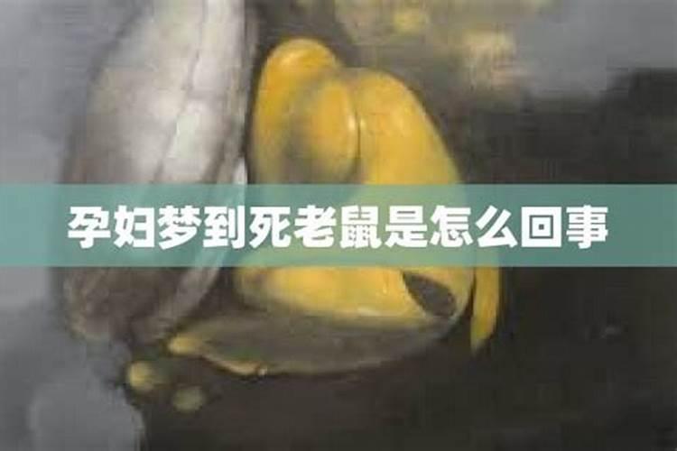 梦见耗子冲到自己身上是什么意思