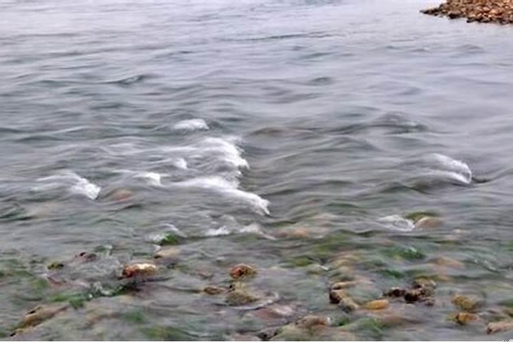 梦见河水突然涨水