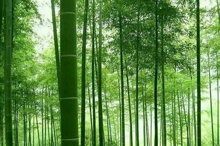 农村房屋影背墙有讲究吗