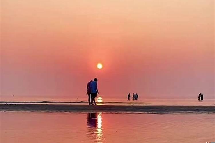 八字走正财运好吗