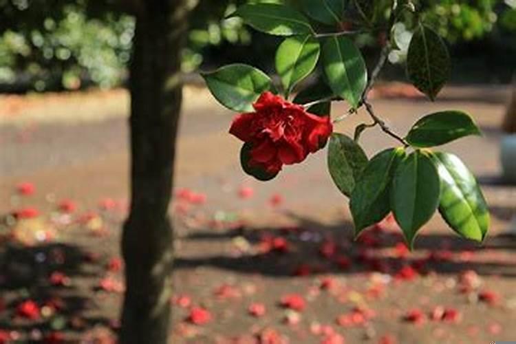 运气不好老是破财