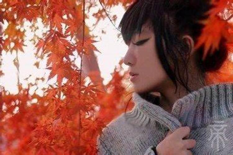 梦见好多鲜花好不好