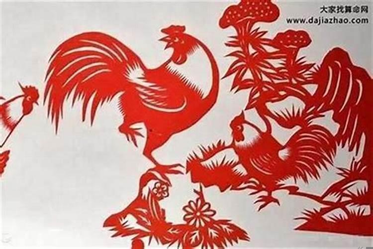 81年的属鸡男在2021年的运势