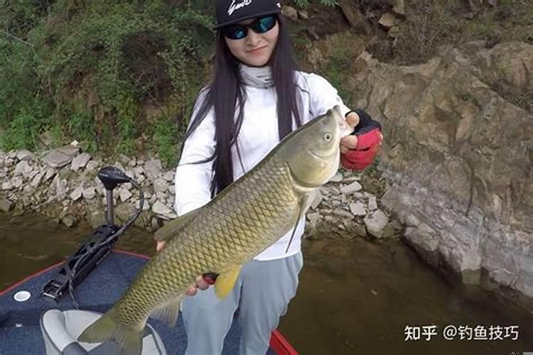 梦到了钓到大鱼