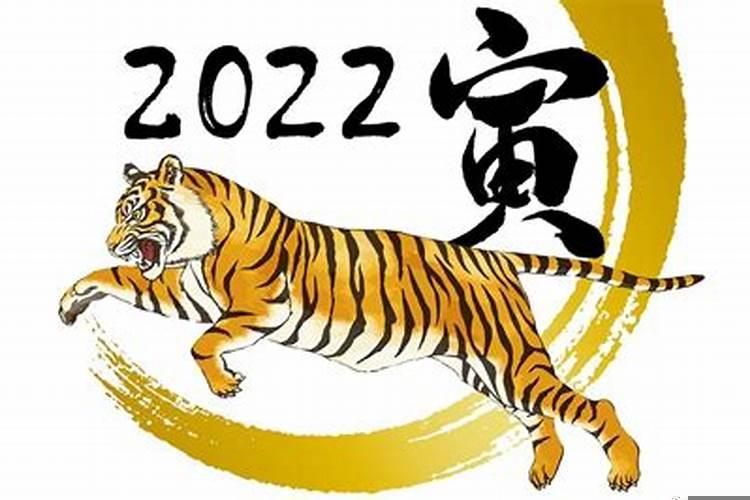 你说什么样的爱情