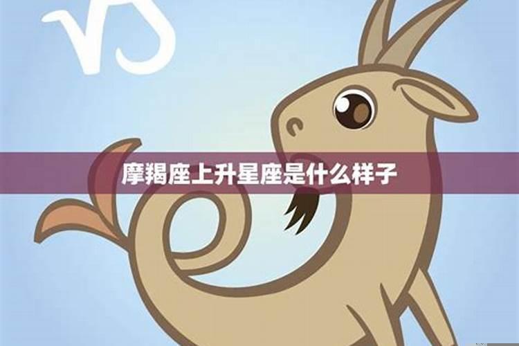 走进摩羯座内心的星座