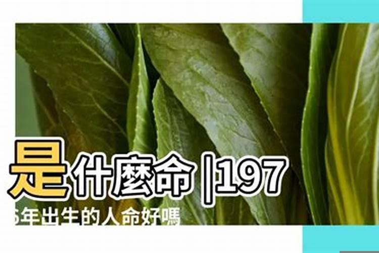 1976年正月二十七属龙的命运