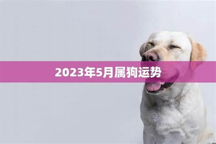 2021年属狗6月份财运怎么样