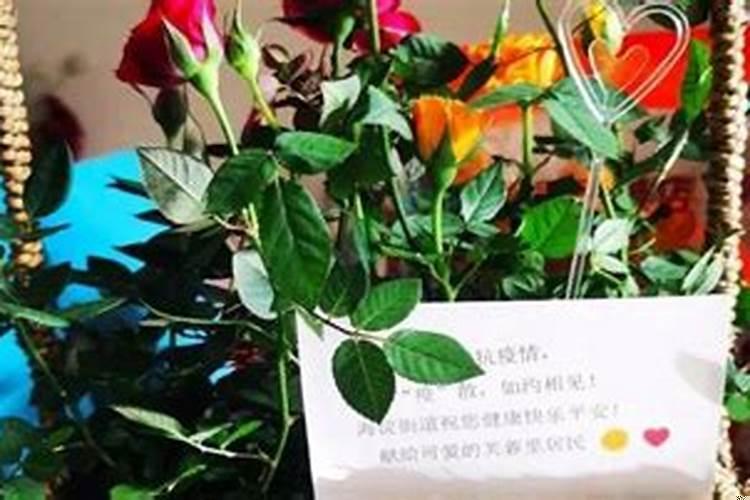 梦见好多鲜花好不好