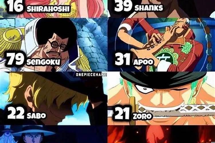 海贼王人物年龄全部