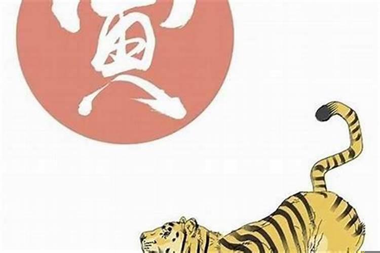 属虎的属龙的结婚好不好