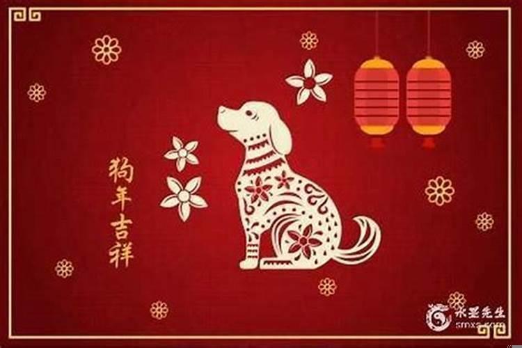 属狗的命运好不好呀我看一下