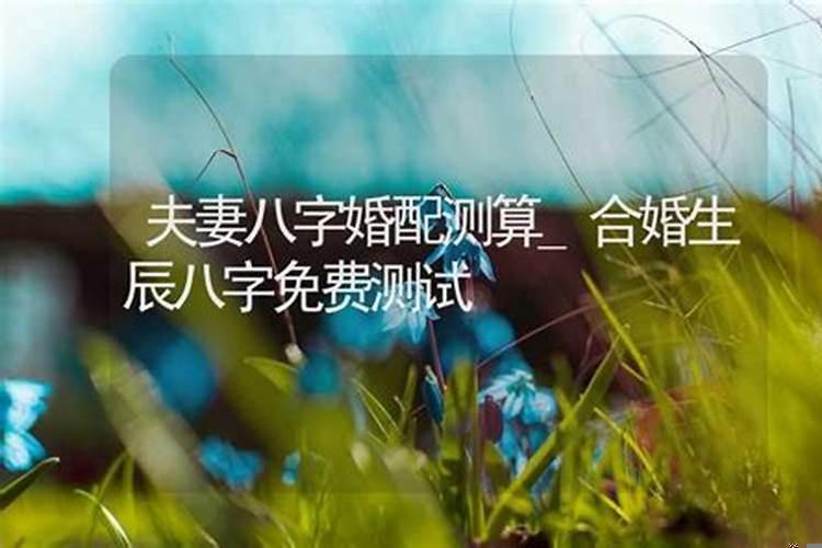 合婚生辰八字免费测试