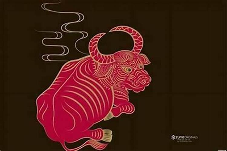 85年属牛的一生财运