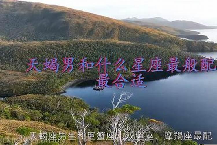 天蝎男和什么合适