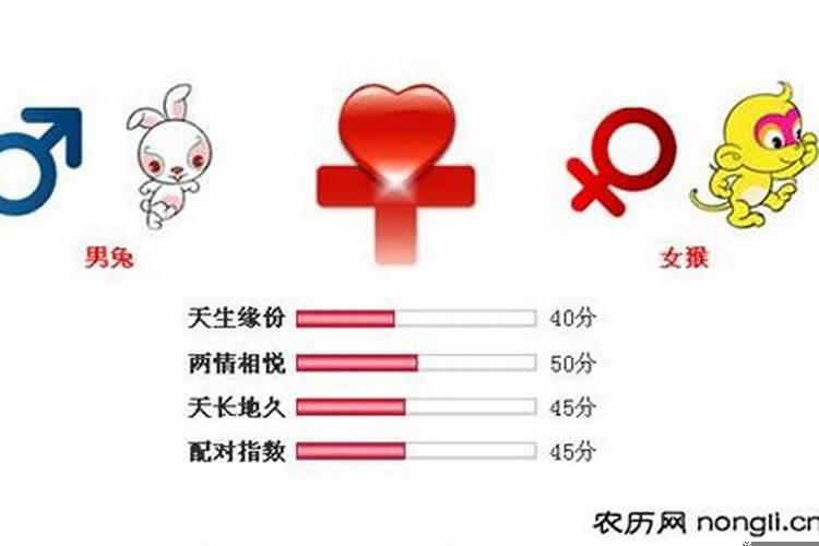 属兔和属猴相配吗