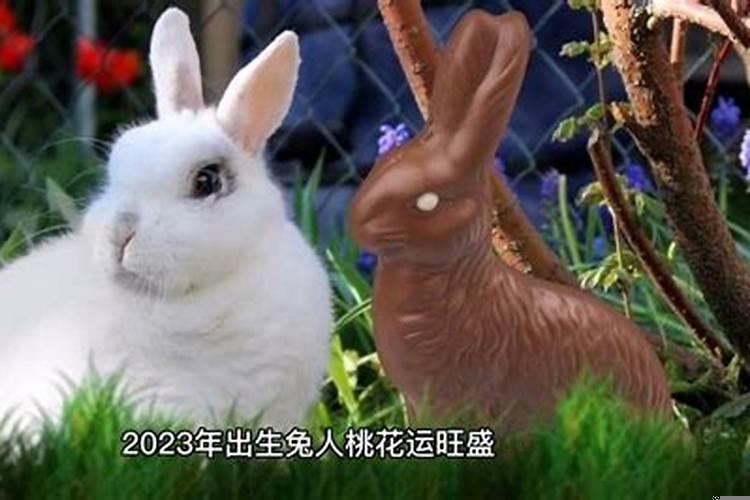 2018属兔的运势和财运