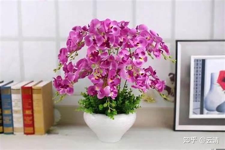 种什么花对夫妻感情有帮助呢