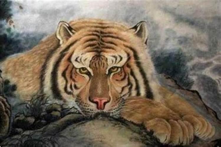 86年属虎男命运如何