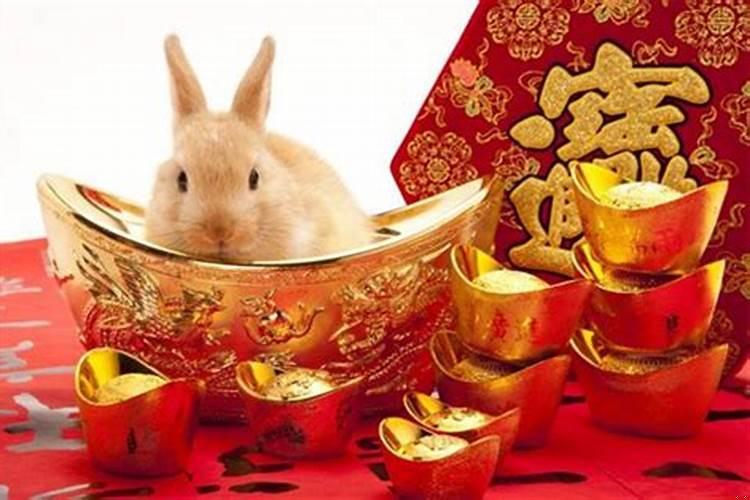 属兔的姻缘在哪年