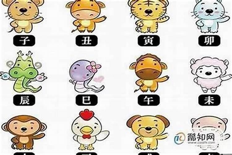 12生肖属什么最好命