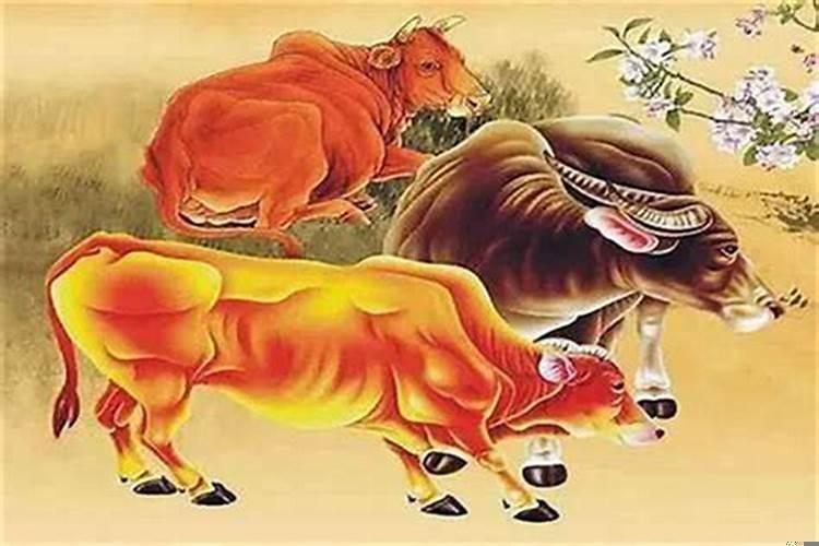 85年属牛的一生财运