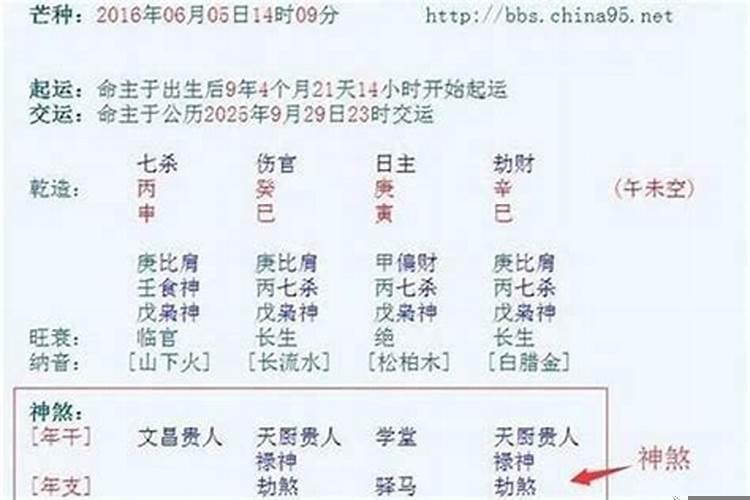 桃花运最旺的3个生肖女