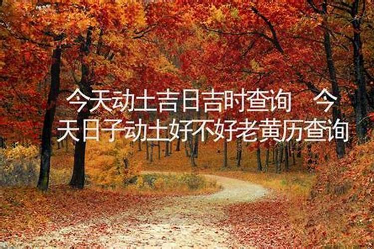 今天是否吉日动土好不好