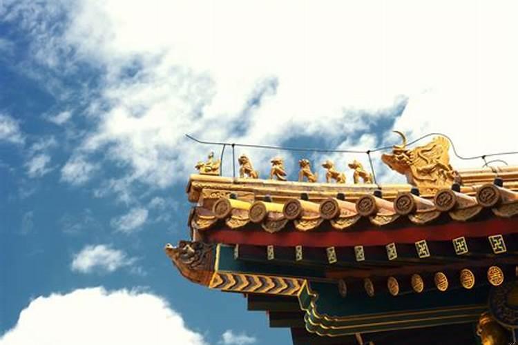 梦见龙在树上盘着