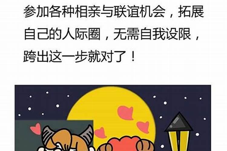 命犯桃花的星座