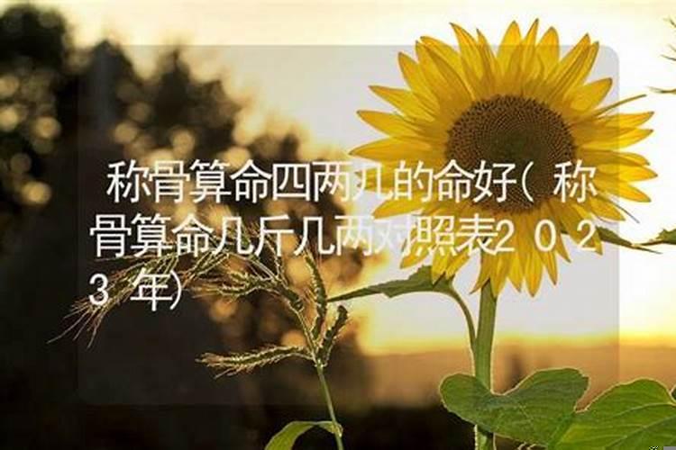 称骨过几两就是好命了