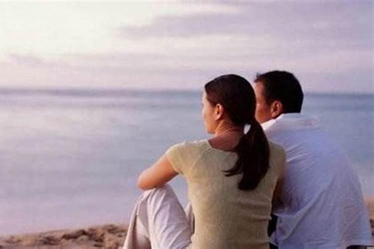 种什么花对夫妻感情有帮助呢